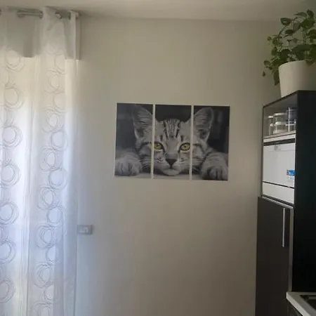 Bumbunin 公寓 阿尔巴